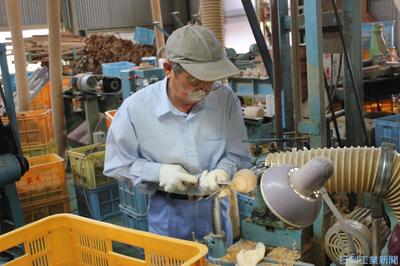 マイスターに聞く １７４ 木材切削加工 独楽工房隈本木工所 田代輝也さん 人物 ニュース 日刊工業新聞 電子版