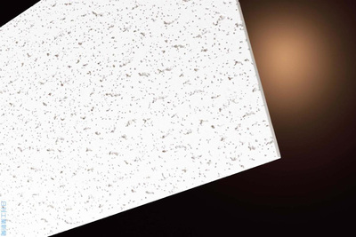 大建工業 医療 福祉施設向け天井材 高消臭で室内環境改善 建設 住宅 生活 ニュース 日刊工業新聞 電子版