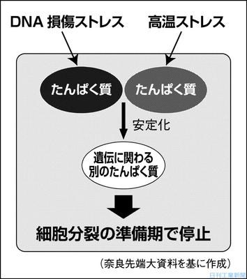 日刊工業新聞