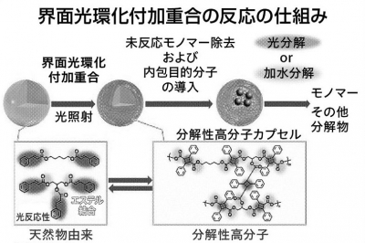 2026年1月16日 科学技術・大学 | 日刊工業新聞 電子版