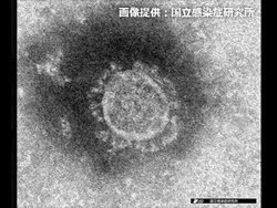 【特集】新型コロナウイルス＜支援版＞